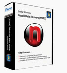 Novell Data Recovery (NSS)